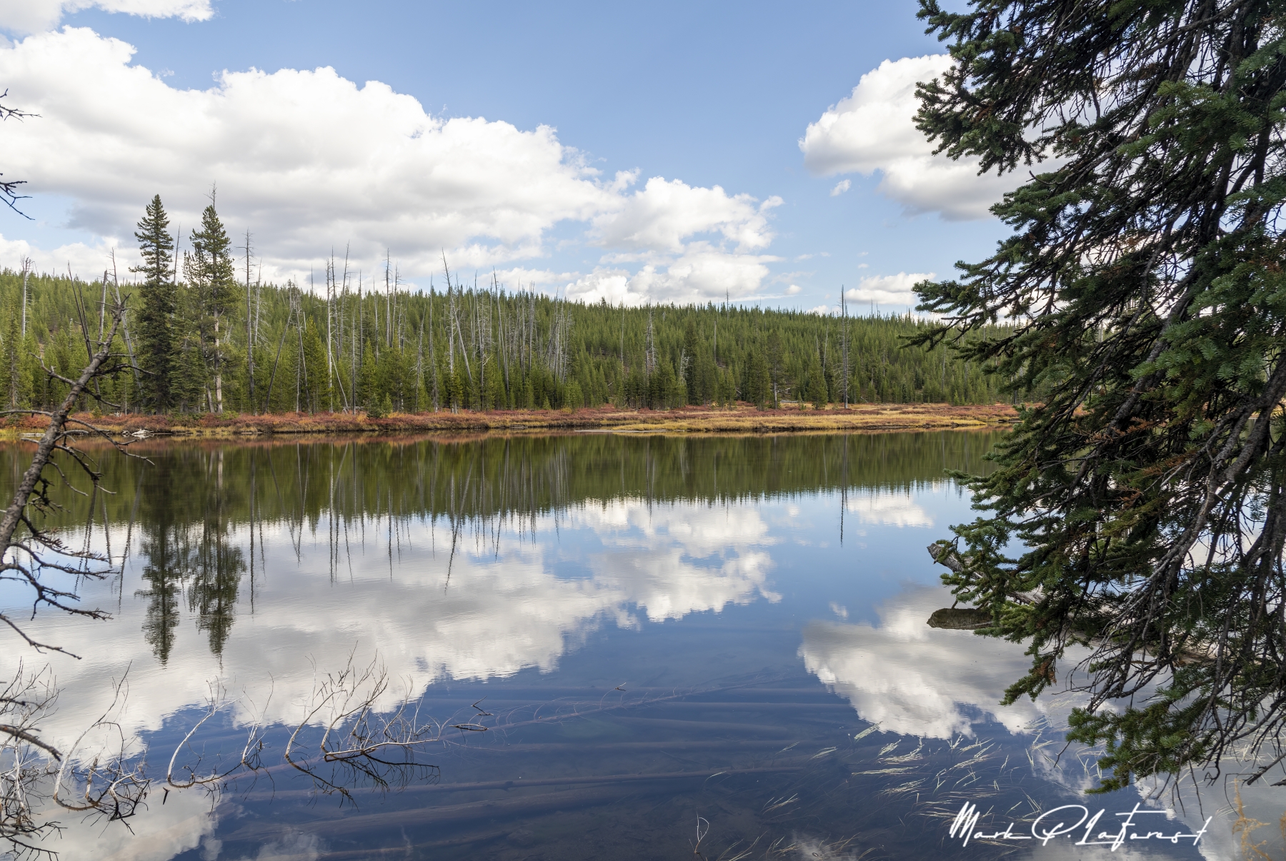 /gallery/north_america/USA/Wyoming/yellowstone/Yellowstone River Sept 2024-004_med.jpg